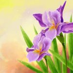 سبد خرید و پرداخت