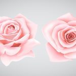 دانلود عکس موز رسیده ورقه شده در فنجان