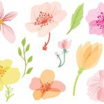 دانلود رقصنده جوان زيبا که در حال پرش در استوديوي background_003 است