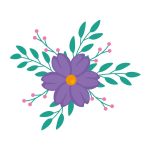سبد خرید و پرداخت