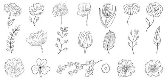 دانلود مجموعه وکتور گل های خطی ابله های گیاهی خطوط مشکی روی سفید