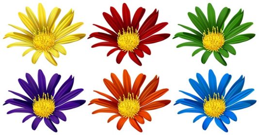 دانلود وکتور گل در شش رنگ مختلف تصویر