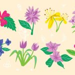 سبد خرید و پرداخت