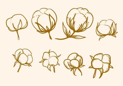 دانلود مجموعه وکتور از وکتور گل پنبه ای طراحی شده با دست این نمادها برای تم طرح قدیمی و کلاسیک مناسب هستند آن را به صورت رایگان دریافت کنید