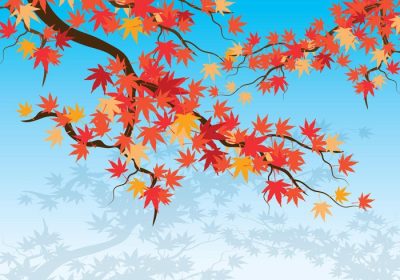 دانلود وکتور زیبای افرا ژاپنی پس زمینه چشم انداز پاییزی