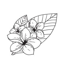دانلود وکتور آدنیوم به صورت طرح کلی طراحی شده با دست گل