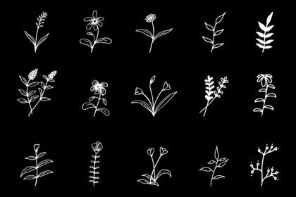دانلود وکتور مجموعه گل های طراحی شده با دست