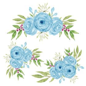 دانلود مجموعه وکتور گل رز آبی با آبرنگ جدا شده در زمینه سفید
