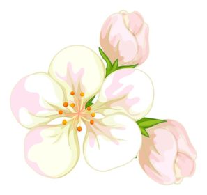 دانلود وکتور گل های سفید در تصویر زمینه سفید