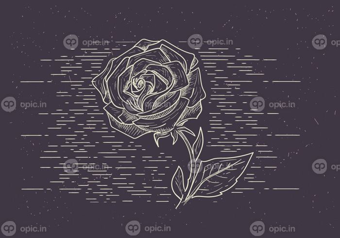 دانلود وکتور تصویر گل دقیق طراحی شده برای برچسب پوستر کارت تبریک وب سند و سایر سطوح تزئینی