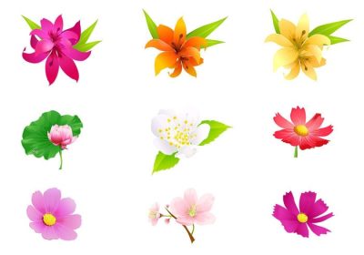 دانلود وکتور اگر نمی توانید تابستان امسال به مناطق استوایی سفر کنید، ممکن است از گل های زیبایی که در آنجا رشد می کنند لذت ببرید، این بسته وکتور گل استوایی پر از گل های رنگارنگ استوایی است.