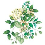 سبد خرید و پرداخت