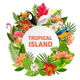 دانلود وکتور جزیره گرمسیری دایره گیاهان زیبا گل و طوطی های عجیب و غریب قاب عکس نگاره پوستر چاپ تصویر برداری انتزاعی