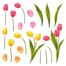 دانلود مجموعه وکتور عناصر گل گل و برگ سبز گل پوستر گل دعوت چیدمان وکتور برای طرح کارت تبریک یا دعوتنامه