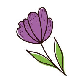 دانلود وکتور گل زیبا با برگ باغ به سبک نقاشی دستی