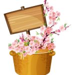 سبد خرید و پرداخت