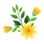 سبد خرید و پرداخت