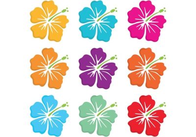 دانلود وکتور وکتورهای گل پلینزی هاوایی جدید من را بررسی کنید امیدوارم از گل های هاوایی خوشتان بیاید