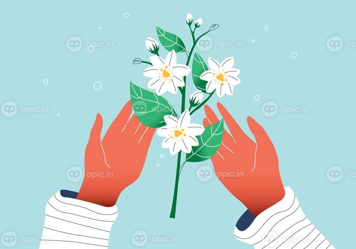 دانلود وکتور سفید گل یاس زیبا روی دست وکتور تصویر مسطح