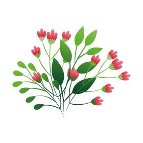 دانلود وکتور گل های ناز رنگ قرمز با شاخه و برگ