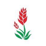 دانلود طرح تی شرت تی شرت گامینگ تی شرت ژیستیک تی شرت