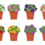 سبد خرید و پرداخت