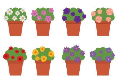 دانلود وکتور مجموعه گل های مختلف فضای باز در گلدان مجموعه کامل برای هر نوع طرح دیگری به صورت لایه باز و کاملا قابل ویرایش حاوی فایل های گرافیکی ai eps و svg