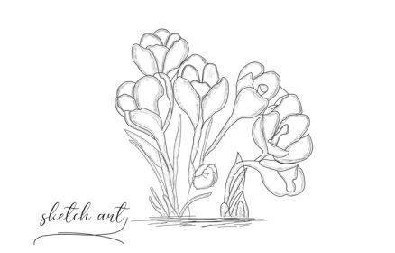 دانلود وکتور تصویر وکتور طرح گل رز زیبا با دست کشیده شده