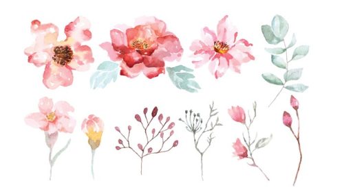 دانلود مجموعه وکتور نقاشی های گل آبرنگ جدا شده بر روی عناصر پس زمینه سفید مجموعه برگ های باغ شاخه های ست دکوراسیون رمانتیک وینتیج گیاهی