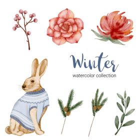 دانلود وکتور مجموعه آبرنگ زمستانی با گل برگ و آبرنگ زمستانی خرگوش