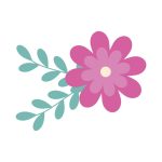 سبد خرید و پرداخت