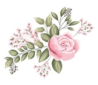 دانلود وکتور گل رز صورتی با جوانه و برگ طرح نقاشی زینت گیاه طبیعت گل طبیعی تزیین وکتور باغ و تم گیاه شناسی