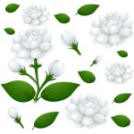 سبد خرید و پرداخت