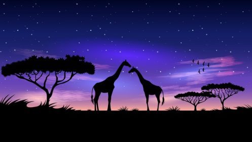 دانلود وکتور آفریقا در شب پس زمینه آسمان پرستاره