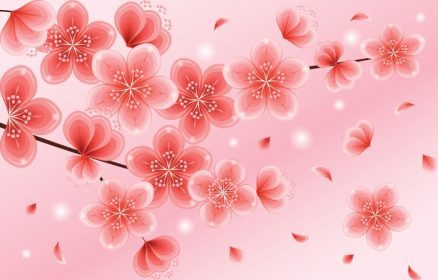 دانلود وکتور شکوفه های گیلاس صورتی شیب زیبا