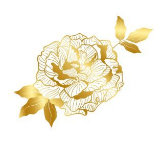 دانلود وکتور گل صد تومانی ظرافت با خط سرد در ترند آسیایی