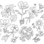 سبد خرید و پرداخت