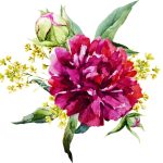 سبد خرید و پرداخت