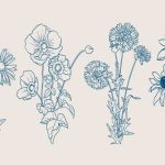 دانلود عکس کاکتوس خاردار نزدیک دریا