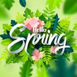 سبد خرید و پرداخت