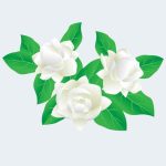 سبد خرید و پرداخت