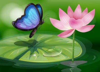 دانلود تصویر برداری از یک پروانه در نزدیکی گل صورتی در حوضچه