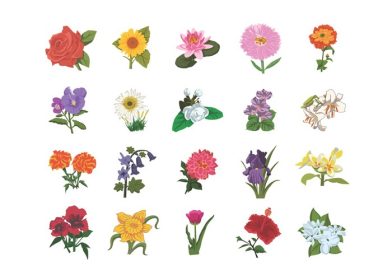 دانلود وکتور گل های کودکانه کتاب تصویری مجموعه گل رز آفتابگردان نیلوفر آبی