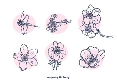 دانلود وکتور مجموعه شکوفه هلو طراحی شده با دست در اشکال و اندازه های مختلف