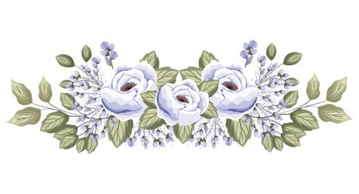دانلود وکتور گل رز سفید گل رز با غنچه و برگ نقاشی طرح زینت طبیعت گل طبیعی گیاه تزئینات باغ و تم گیاه شناسی تصویر وکتور