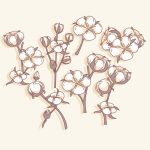 سبد خرید و پرداخت