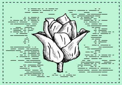 دانلود وکتور گل طراحی شده با دست به سبک قدیمی طراحی شده برای برچسب پوستر کارت تبریک وب سند و سایر سطوح تزئینی