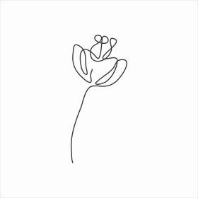 دانلود وکتور نقاشی یک خطی هنر خط پیوسته گل بهاری