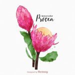 دانلود وکتور طرح های مختلف قهوه