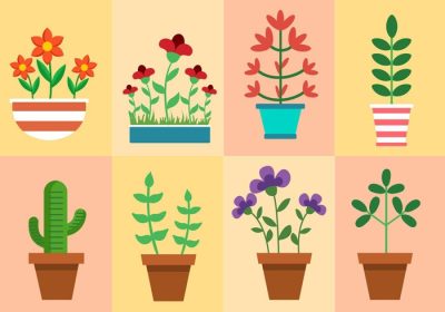 دانلود وکتور وکتور گیاهان و گل های خانه برای برچسب پوستر کارت تبریک وب سند و سایر سطوح تزئینی